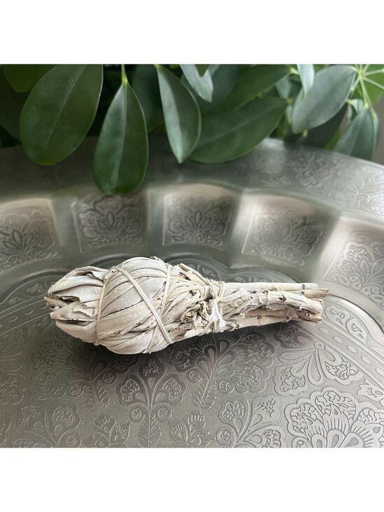 Other - (1) Sage